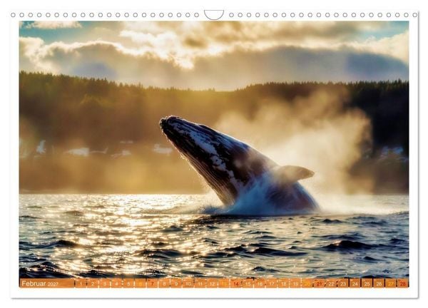 Produktbild: Whale Watching (Wandkalender 2027 DIN A3 quer), CALVENDO Monatskalender