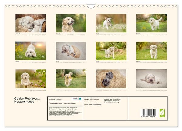 Produktbild: Golden Retriever... Herzenshunde (Wandkalender 2026 DIN A3 quer), CALVENDO Monatskalender