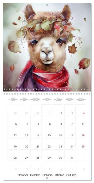 Produktbild: Alpagas du c&oelig;ur (Calendrier mural carr&eacute; 2026 30x30 cm) Calendrier double avec une page pour vos prises de notes