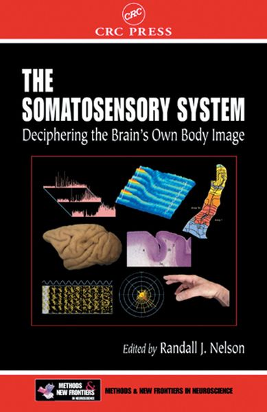 Produktbild: The Somatosensory System