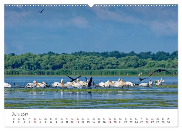 Produktbild: Donau-Delta (hochwertiger Premium Wandkalender 2027 DIN A2 quer), Kunstdruck in Hochglanz