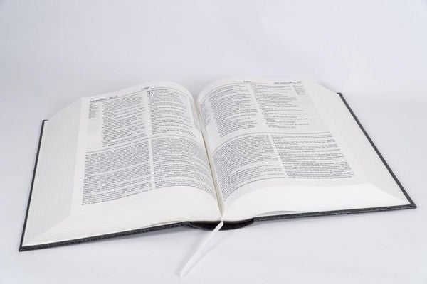 Produktbild: Genfer Studienbibel