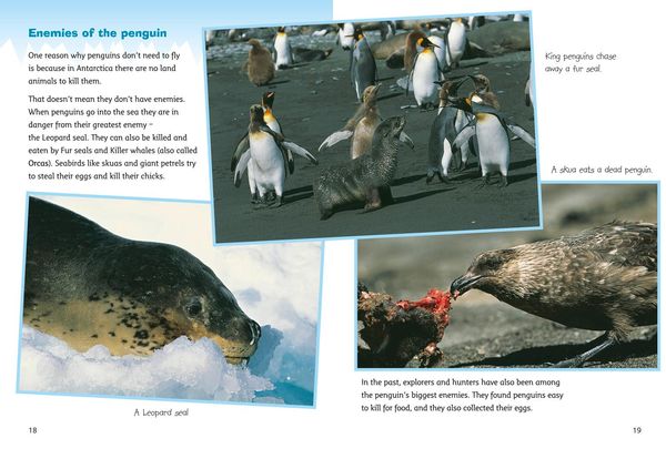 Produktbild: Antarctica: Land of the Penguins