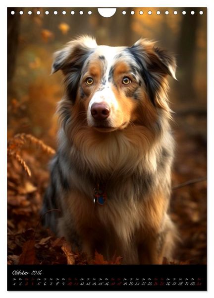 Produktbild: Australian Shepherd (Wandkalender 2026 DIN A4 hoch), CALVENDO Monatskalender