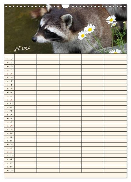 Produktbild: Waschb&auml;ren Familienplaner (Wandkalender 2026 DIN A3 hoch), CALVENDO Monatskalender