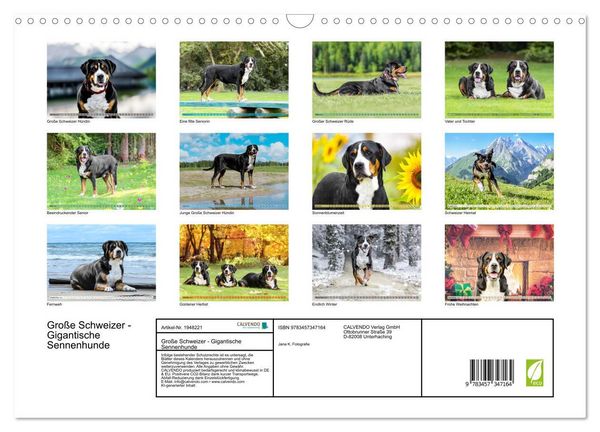 Produktbild: Gro&szlig;e Schweizer - Gigantische Sennenhunde (Wandkalender 2026 DIN A3 quer), CALVENDO Monatskalender