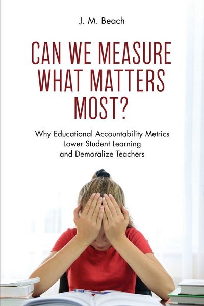 Produktbild: Can We Measure What Matters Most?