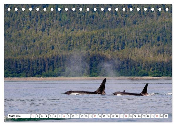 Produktbild: Alaska - Lockruf der Wildnis (Tischkalender 2026 DIN A5 quer), CALVENDO Monatskalender