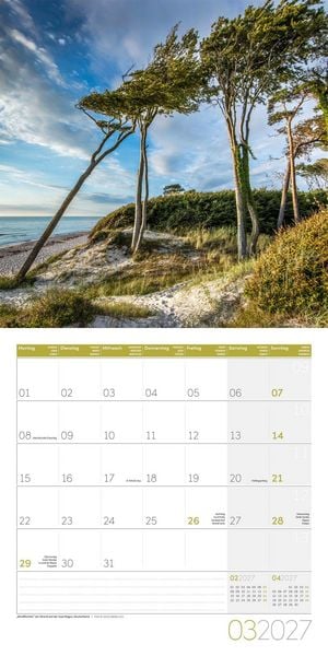 Produktbild: B&auml;ume Kalender 2027 - 30x30 - Art12