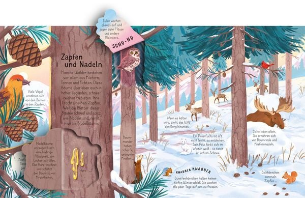 Produktbild: Aufklappen und Entdecken: Der Wald