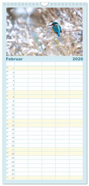 Produktbild: Familienplaner 2026 - Eisvogel im Portr&auml;t mit 5 Spalten (Wandkalender, 21 x 45 cm) CALVENDO