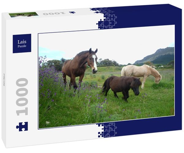 Produktbild: Lais Puzzle Pferde 1000 Teile