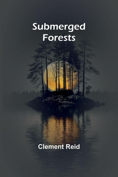 Produktbild: Submerged forests
