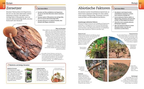 Produktbild: Visuelles Wissen. Biologie