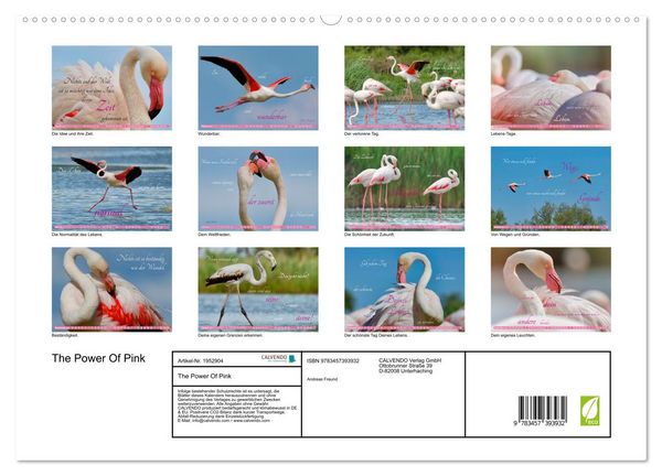 Produktbild: The Power Of Pink (hochwertiger Premium Wandkalender 2026 DIN A2 quer), Kunstdruck in Hochglanz