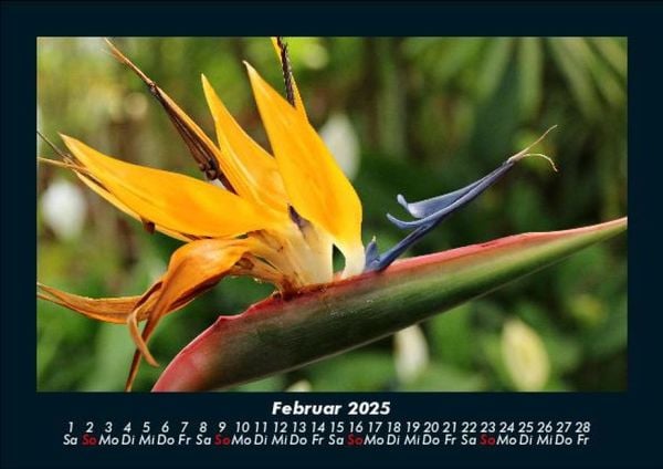 Produktbild: Blumenzauber 2025 Fotokalender DIN A5