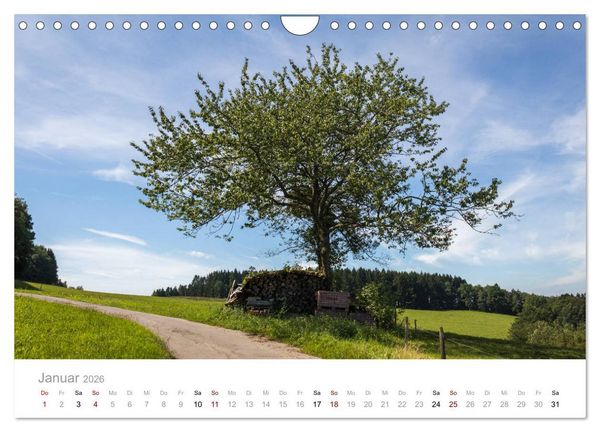 Produktbild: Wundersch&ouml;ne B&auml;ume im Sauerland (Wandkalender 2026 DIN A4 quer), CALVENDO Monatskalender