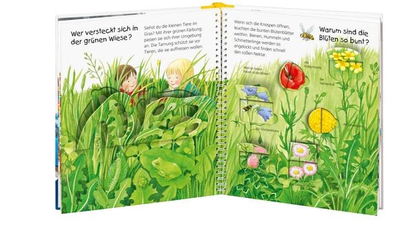 Produktbild: Welche Farbe ist das? / Wieso? Weshalb? Warum? Junior Bd. 13