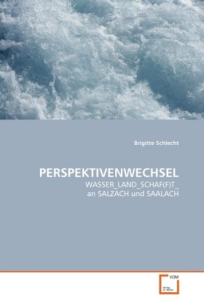 Schlecht, B: Perspektivenwechsel, Taschenbuch von Brigitte Schlecht, VDM, 9783639308082