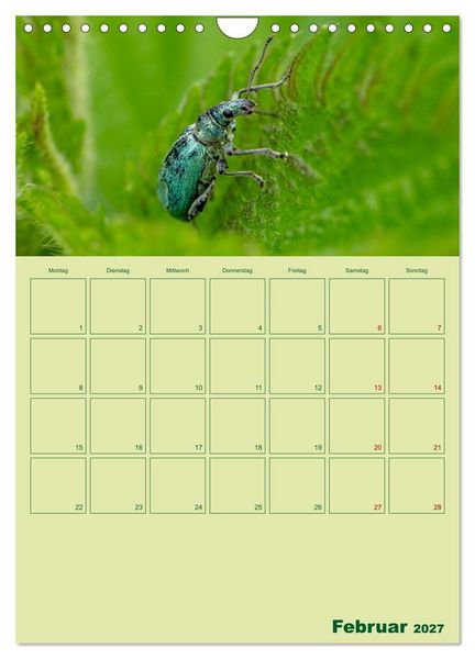 Produktbild: Die Welt der Insekten (Wandkalender 2027 DIN A4 hoch), CALVENDO Monatskalender