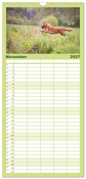 Produktbild: Familienplaner 2027 - Toller - Nova Scotia Duck Tolling Retriever mit 5 Spalten (Wandkalender, 21 x 45 cm) CALVENDO
