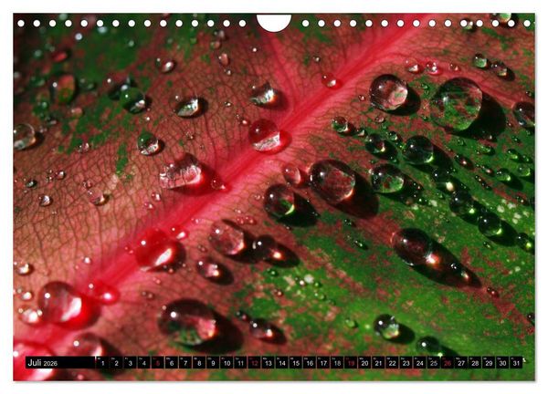 Produktbild: Wassertropfen - Diamanten des Lebens (Wandkalender 2026 DIN A4 quer), CALVENDO Monatskalender