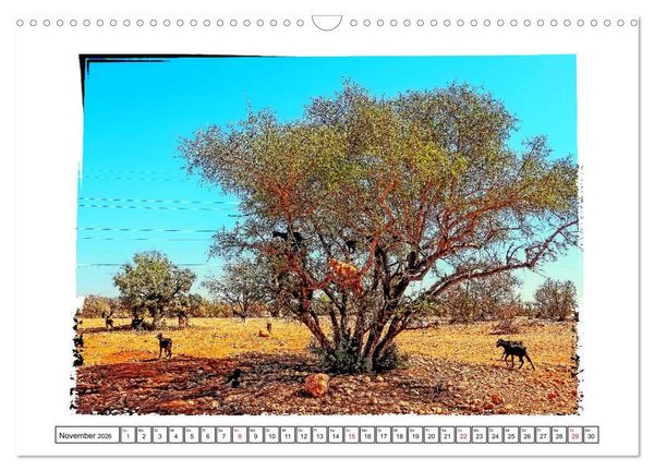 Produktbild: Bezauberndes Marokko (Wandkalender 2026 DIN A3 quer), CALVENDO Monatskalender