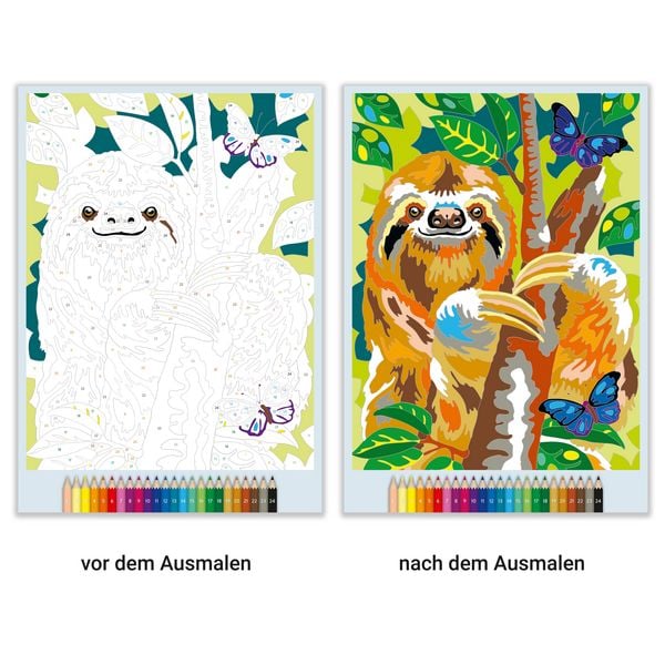 Produktbild: Malen nach Zahlen - Animal Dreams