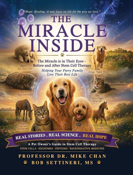 Produktbild: The Miracle Inside