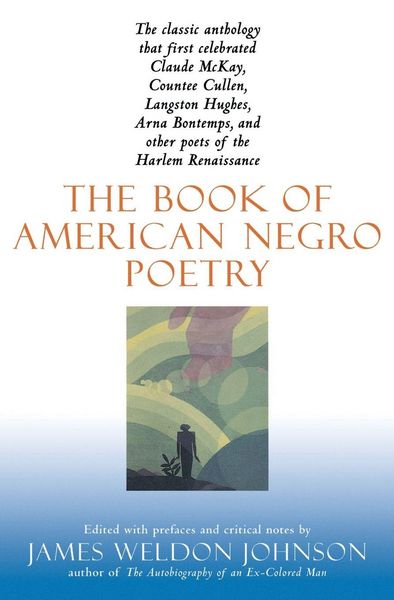 Produktbild: The Book Of American Negro Poetry