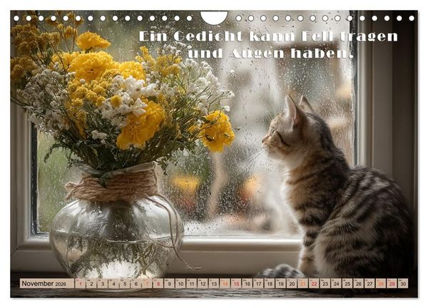 Produktbild: Miau-velous Pfotenpoesie (Wandkalender 2026 DIN A4 quer), CALVENDO Monatskalender