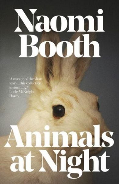 Produktbild: Animals at Night