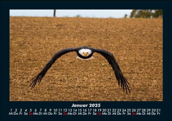 Produktbild: Adler 2025 Fotokalender DIN A5