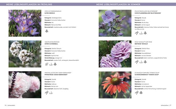 Der A bis Z-Gartencoach – Von TV-Gartenprofi Alexandra Lehne