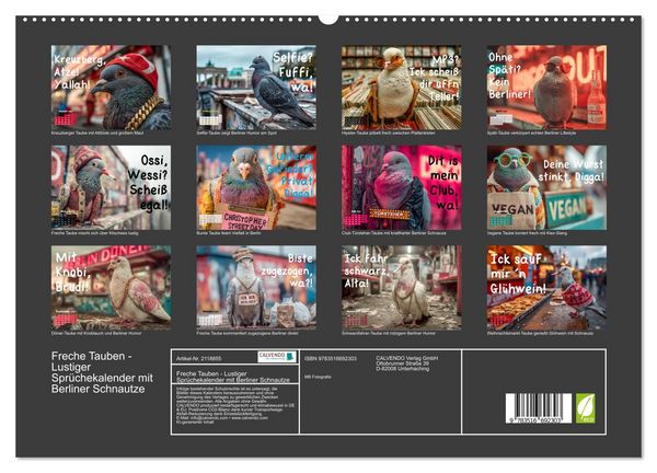 Produktbild: Freche Tauben - Lustiger Spr&uuml;chekalender mit Berliner Schnautze (hochwertiger Premium Wandkalender 2026 DIN A2 quer), Kunstdruck in Hochglanz