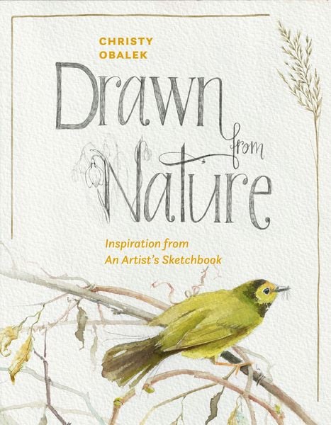 Produktbild: Drawn from Nature