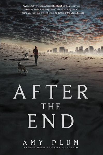Produktbild: After the End