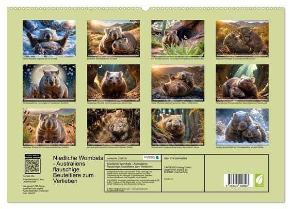 Produktbild: Niedliche Wombats - Australiens flauschige Beuteltiere zum Verlieben (Wandkalender 2027 DIN A2 quer), CALVENDO Monatskalender