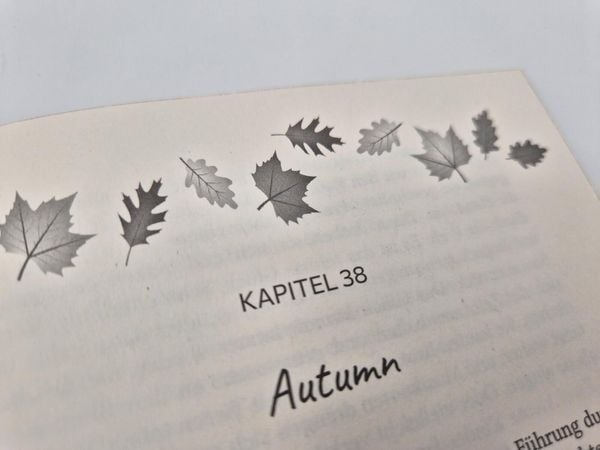 Produktbild: Fall I want