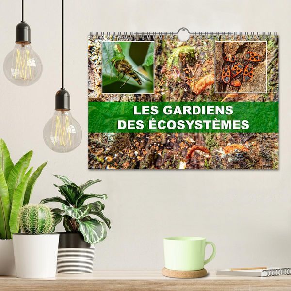 Produktbild: Les gardiens des &eacute;cosyst&egrave;mes (Calendrier mural 2026 DIN A4 vertical), CALVENDO calendrier mensuel