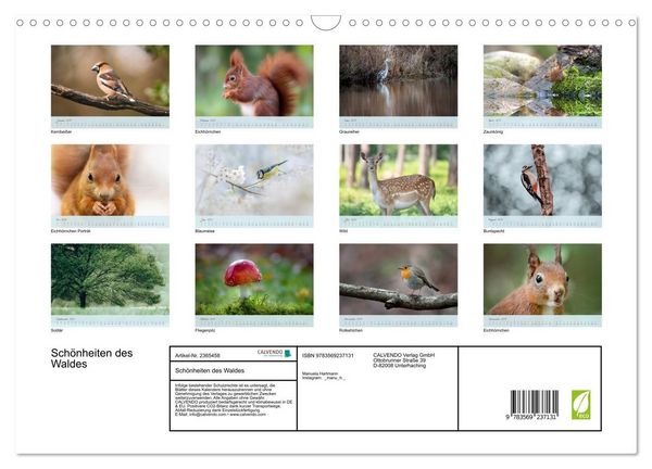 Produktbild: Sch&ouml;nheiten des Waldes (Wandkalender 2027 DIN A3 quer), CALVENDO Monatskalender