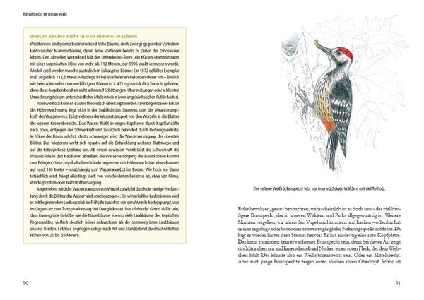 Produktbild: Vogelstimmen in Wald und Hecke