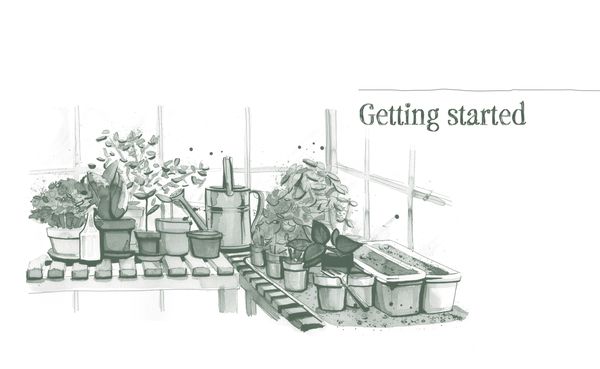 Produktbild: Home-Grown Harvest