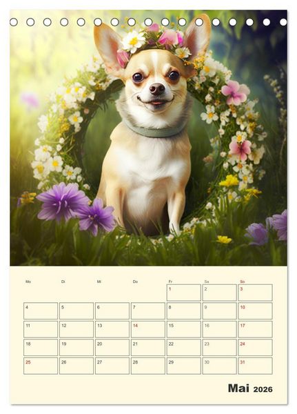 Produktbild: Witzige Chihuahuas. Gl&uuml;ckliche Temperamentb&uuml;ndel (Tischkalender 2026 DIN A5 hoch), CALVENDO Monatskalender