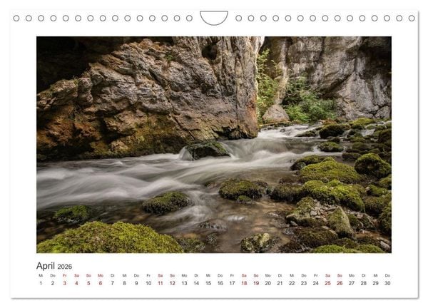 Produktbild: Slowenien - Wilde B&auml;ren und zauberhafte Natur (Wandkalender 2026 DIN A4 quer), CALVENDO Monatskalender