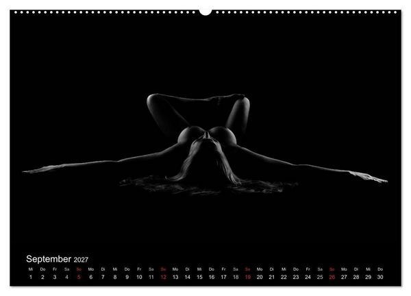 Produktbild: Kunstakt (hochwertiger Premium Wandkalender 2027 DIN A2 quer), Kunstdruck in Hochglanz