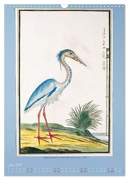 Produktbild: V&ouml;gel des s&uuml;dlichen Afrika (Wandkalender 2026 DIN A3 hoch), CALVENDO Monatskalender