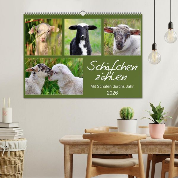 Produktbild: Sch&auml;fchen z&auml;hlen - Mit Schafen durchs Jahr (Wandkalender 2026 DIN A2 quer), CALVENDO Monatskalender