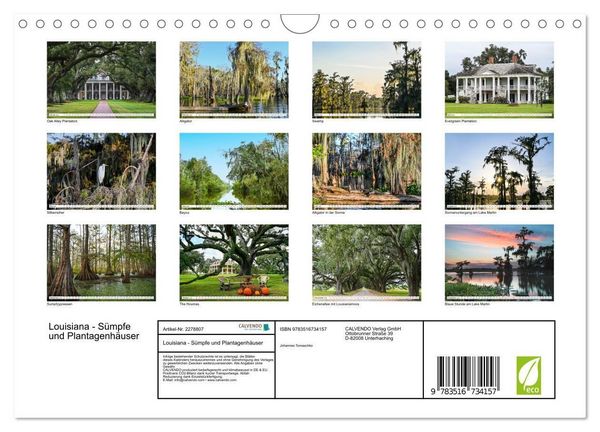 Produktbild: Louisiana - S&uuml;mpfe und Plantagenh&auml;user (Wandkalender 2026 DIN A4 quer), CALVENDO Monatskalender