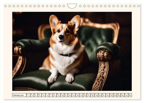 Produktbild: Welsh Corgi Pembroke (Wall Calendar 2026 DIN A4 landscape), CALVENDO 12 Month Wall Calendar